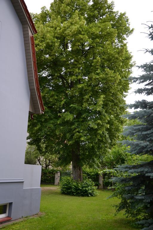 Liepa Silutė Exterior foto